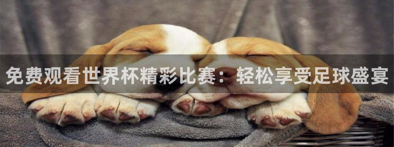 明升m88体育官网