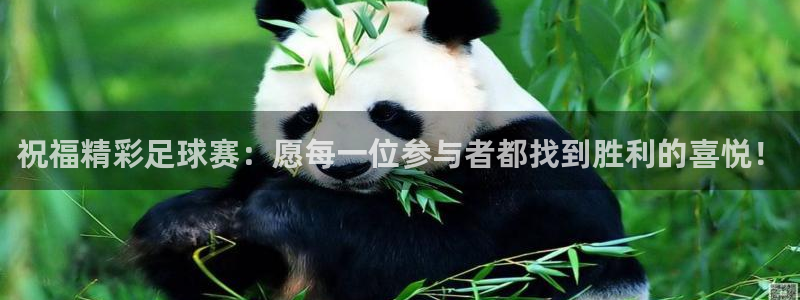 明升体育网