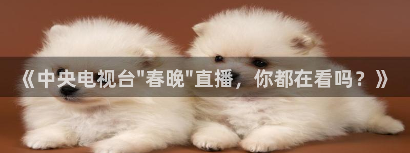 松鼠体育在线直播下载