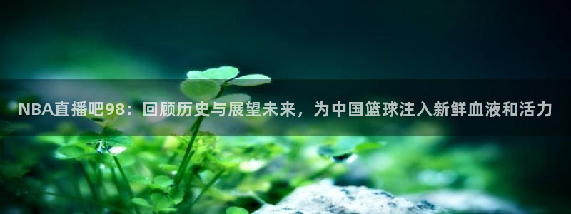 松鼠平台：NBA直播吧98：回顾历史与展望未来，为中国篮球注入新鲜血液和活力
