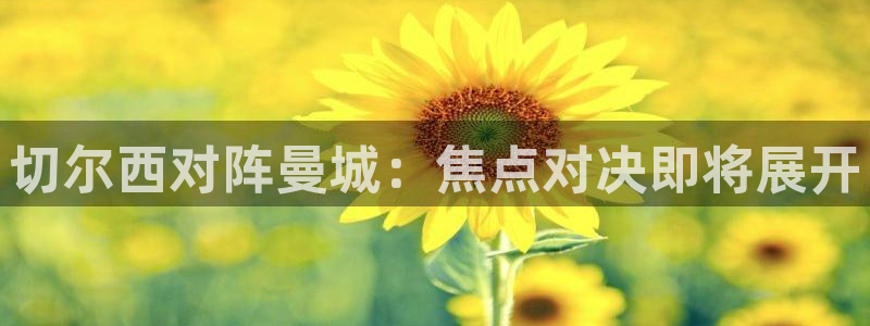 松鼠直播tv