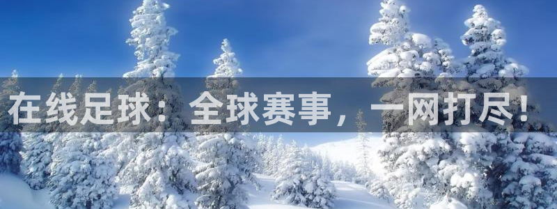 松鼠客户端