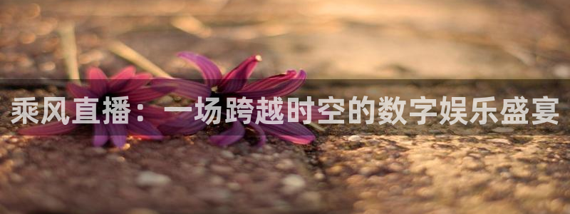 松鼠看球直播：乘风直播：一场跨越时空的数字娱乐盛宴