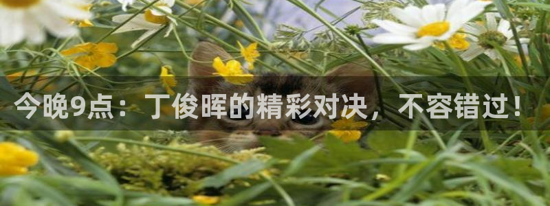 松鼠直播：今晚9点：丁俊晖的精彩对决，不容错过！